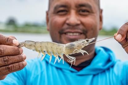 A farmer in Ecuador holds a shrimp