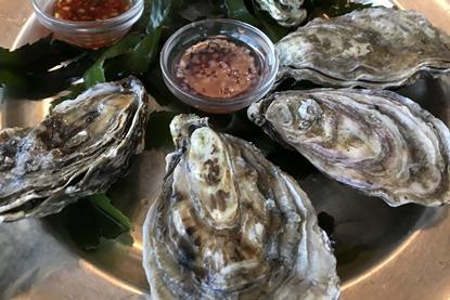 Oysters