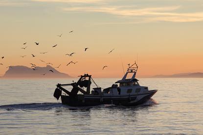 Mediterranean fishing vessel