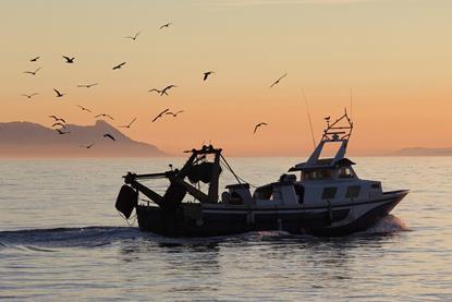 Mediterranean fishing vessel