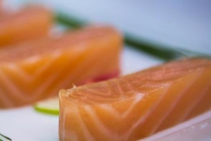 Scottish salmon