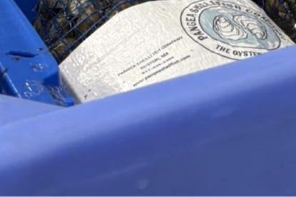 Part of a Saeplast fish box