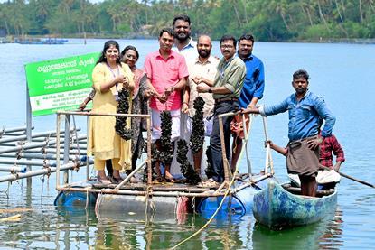 Kodungallur mussel harvest