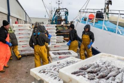 Fishermen unloading catch from a docked vessel