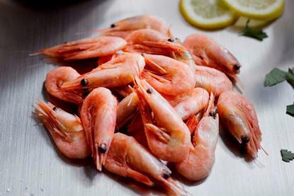 Greenland coldwater prawns