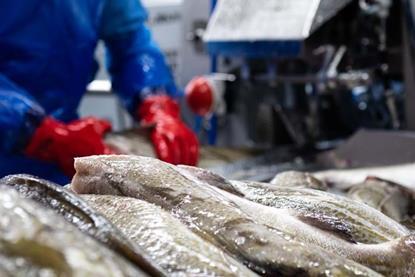 Processing cod