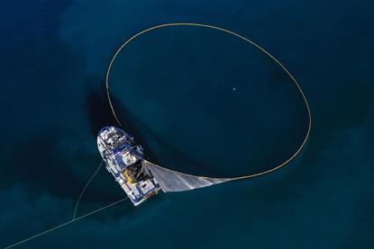 EU fishing strategy