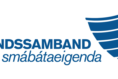 LS logo
