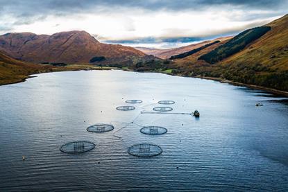 Finfish Farm in Scottish Highlands. image shows 8 pens in a loch with mountains surrounding