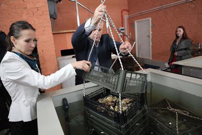 An official visit to an oyster farm in Russia. Photo: Yaroslavl government