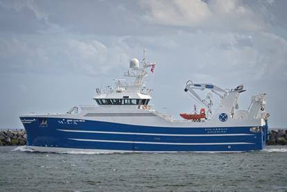 Polarbris