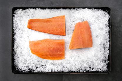 3 salmon fillets on ice