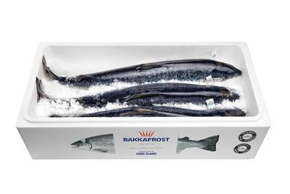 Bakkafrost salmon