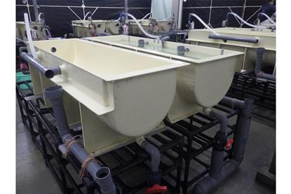 Eel production tank