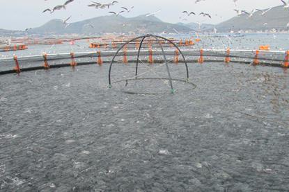 P2G Fish farm visit confirmed for the 5th Offshore Mariculture Conference 2014