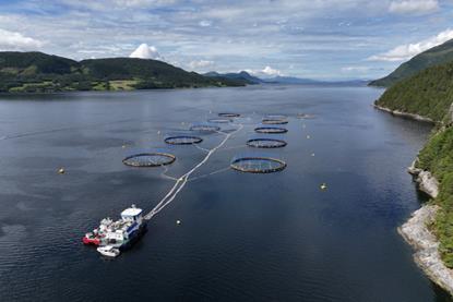 Fish pens at sea