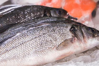 Seabass