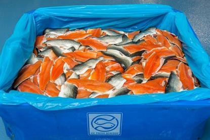 Ice Fresh Seafood