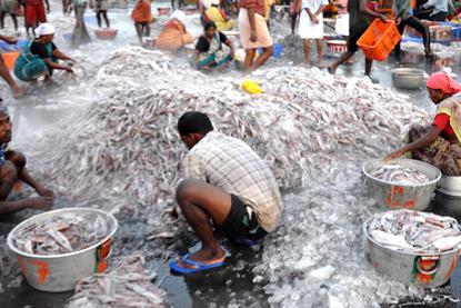 India fisheries