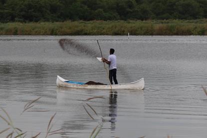 Ecuador shrimp farm