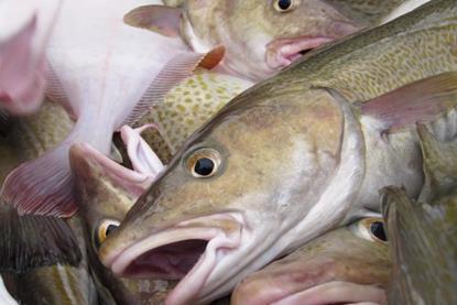 Fisheries
