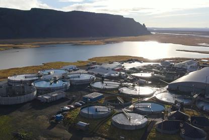 Samherji Fiskeldi land based facility on Iceland - Silfurstjarnan