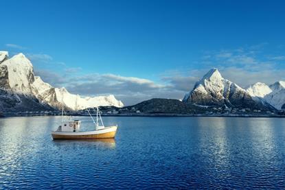 Fishing boat and Reine Village, Lofoten Islands, Norway