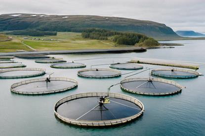 aquaculture closed pens at sea