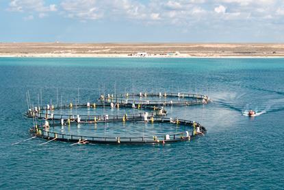 Three fish pens on the Caspian Sea