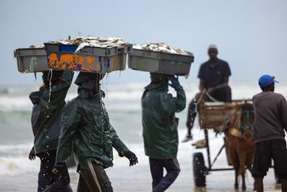 Senegal fisheries
