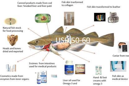 Products that can be made from cod