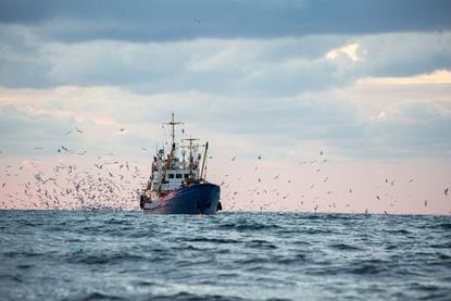 European bottom trawling