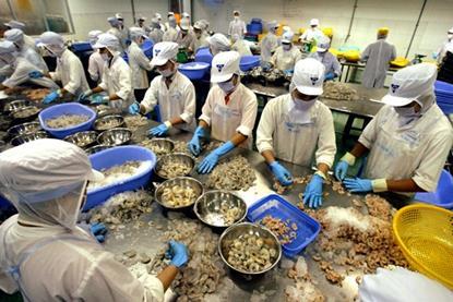 Vietnam shrimp