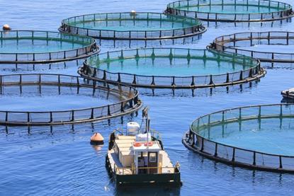 EU aquaculture