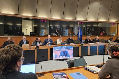 The image shows the European Parliament conference hosted by MEPs Nicolás González Casares and Paulo do Nascimento Cabral