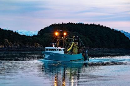 Topaz, Alaska pollock