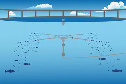 Waterborne feeding in a fish pen illustration