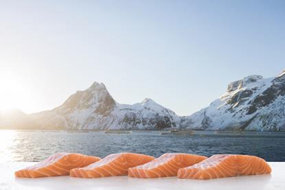 Norwegian salmon