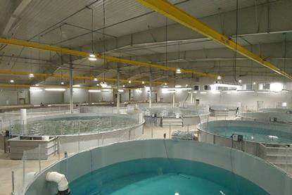 Aquaculture pens inside a laboratory