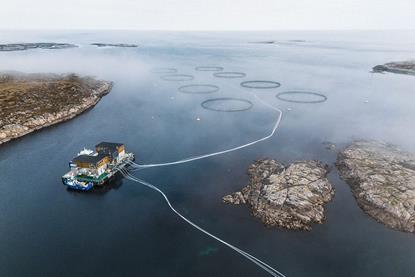 A picture of SalMar's Norwegian farming operations, a vessel circling fish cages in the water
