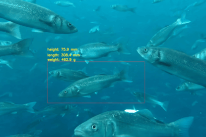 Innovasea BiomassPro