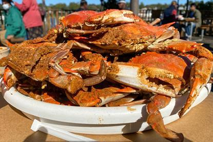 Maryland crab
