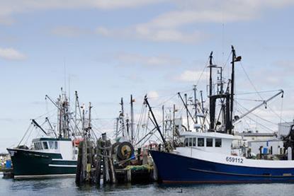 US fisheries