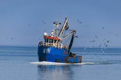 A blue fishing boat at sea with gulls flying around