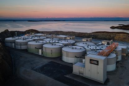 Salmon Evolution's Indre Haroy site in Norway