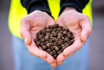 The picture shows a pair of hands shaped light a heart holding fish feed