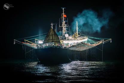 EJF Squid Report