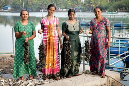 Moothakunnam mussel farmers