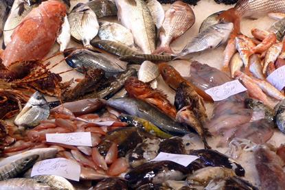The GFTC has received a $1.3 million grant to support efforts to design a common technology architecture for seafood traceability. Credit: Lucarelli/CC BY-SA 3.0, via Wikimedia Commons