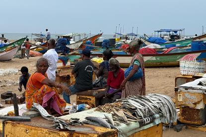 India small-scale fisheries